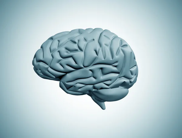 O cérebro humano — Fotografia de Stock