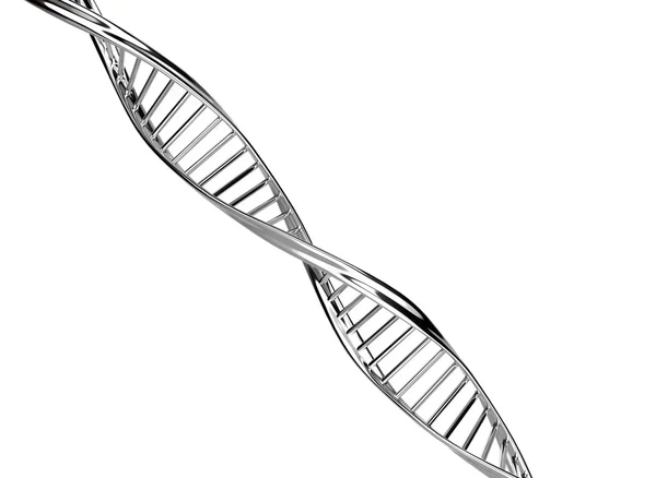 DNA model — Stock Image DNA model Stock Image