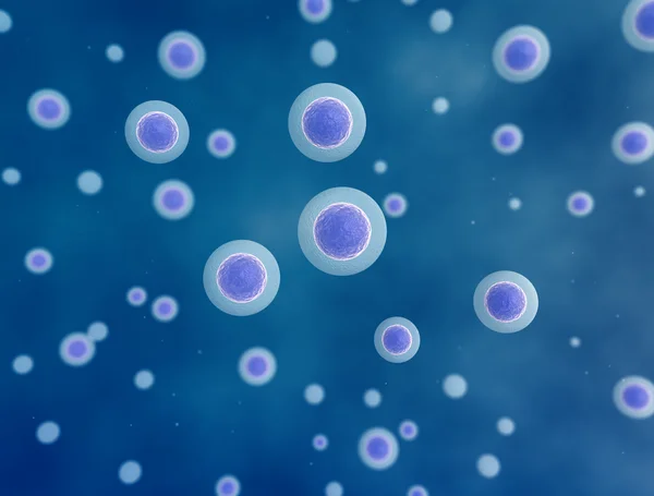 Яєчні клітини під мікроскопом — стокове фото