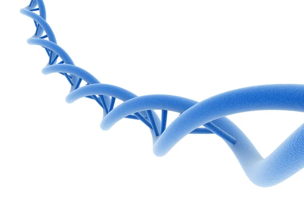 DNA isolado em branco — Fotografia de Stock
