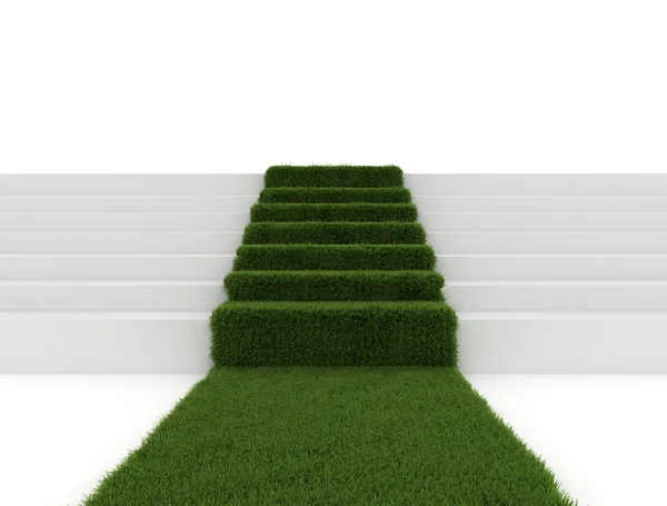 Green grass path — Stock Photo, Image