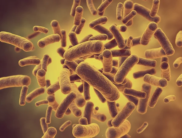 Bacteria cells — Stock Photo, Image