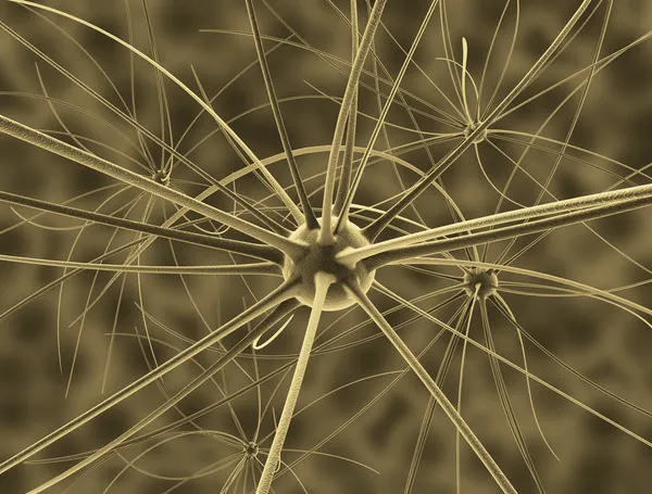 Os neurônios cerebrais e o sistema nervoso — Fotografia de Stock