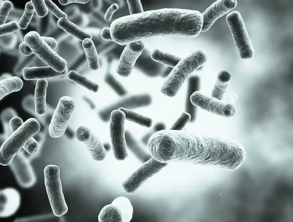 Células bacterianas Imagens Royalty-Free