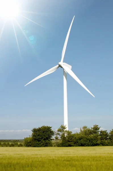 Een Windturbine Fel Zonlicht — Stockfoto