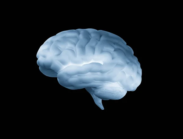 Cerebro Humano Azul Aislado Sobre Fondo Negro — Foto de Stock