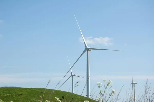 Vindturbiner Med Blå Himmel Bakgrund Och Grön Kulle — Stockfoto