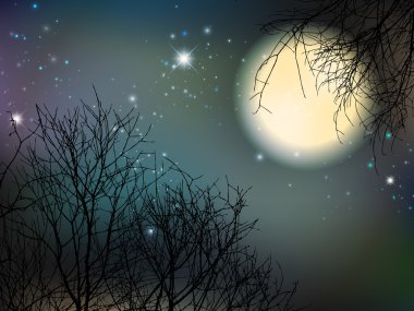 Ayla gece
