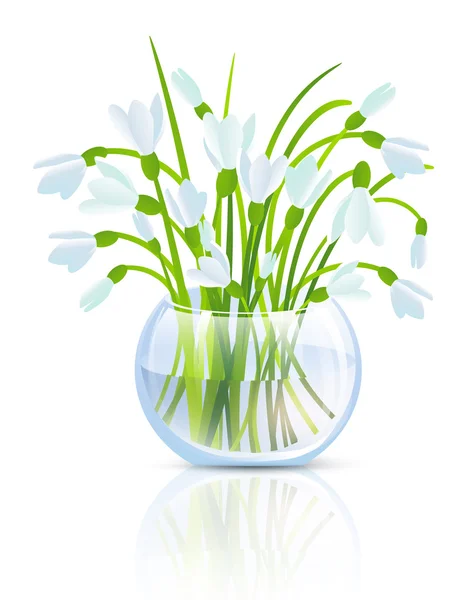 Snowdrop bloem — Stockvector