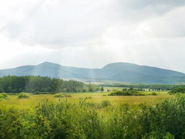 Tokaj Valley With Mountains — Stock Photo, Image