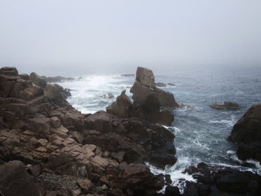 Deniz ve kayalar