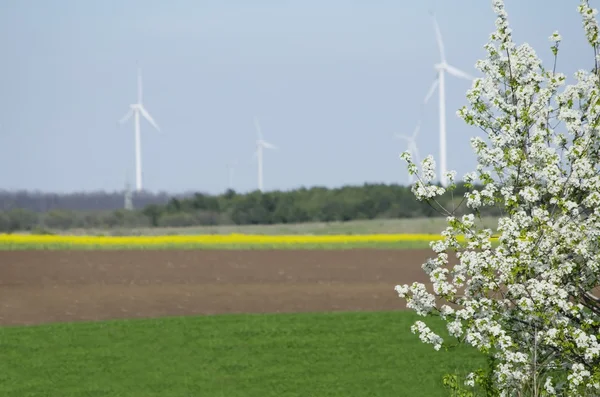 Paesaggio di primavera — Foto Stock