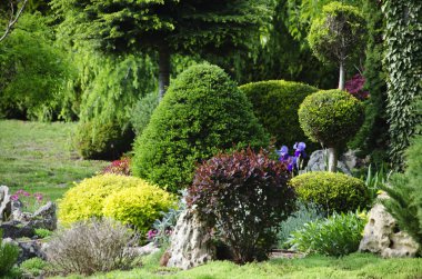 Bahçe ve çevre düzenlemesi