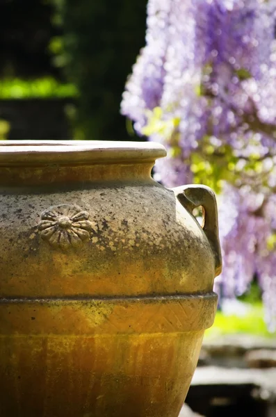 アンティーク粘土の花瓶 — ストック写真