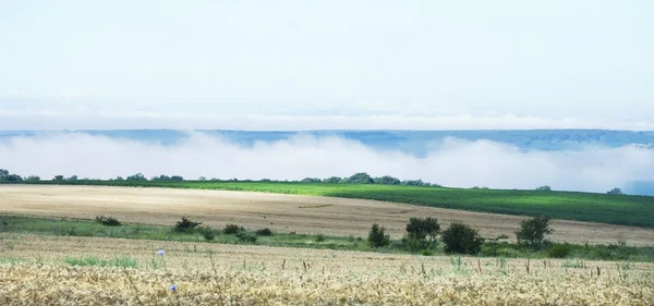 Paisagem rural — Fotografia de Stock