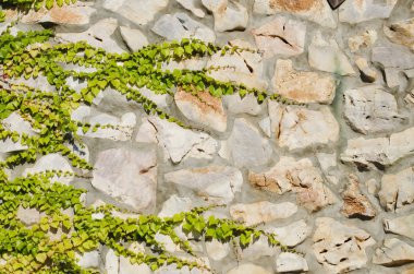  taş duvar ile yeşillik