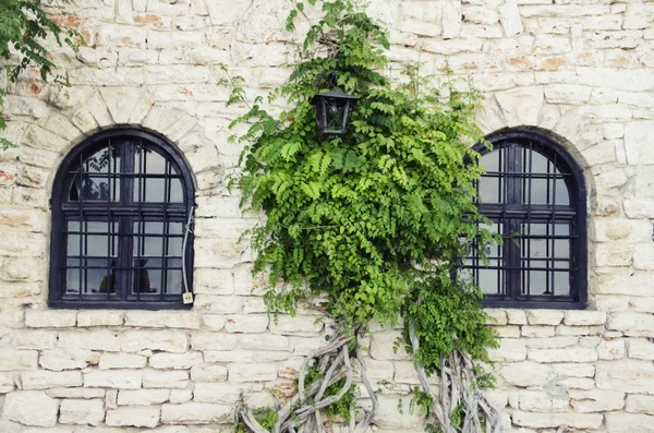 Vecchio muro di pietra con finestre — Foto Stock