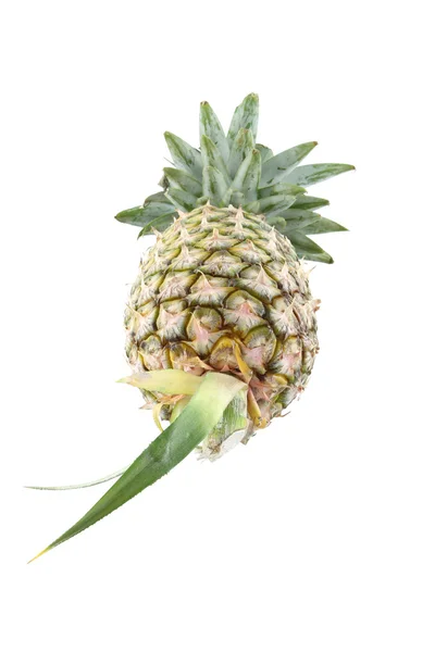 Ananas focus coda su sfondo bianco . — Foto Stock