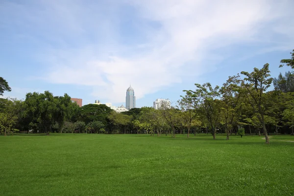 Land befindet sich Skyline des öffentlichen Parks. — Stockfoto