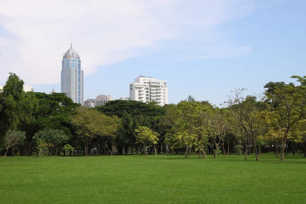 Bauland befindet sich Skyline des öffentlichen Parks. — Stockfoto