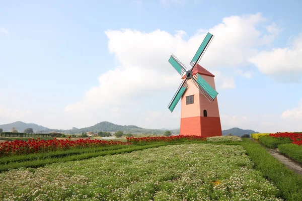 Molino de viento holandés en pequeño jardín de flores . — Foto de Stock