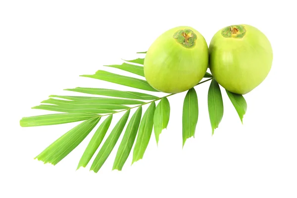 Zielone Orzechy kokosowe i liść na białym tle. — Zdjęcie stockowe