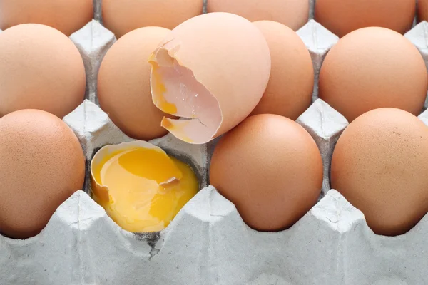 原料打破鸡蛋蛋壳载在白色背景上的瓦楞纸箱. — 图库照片