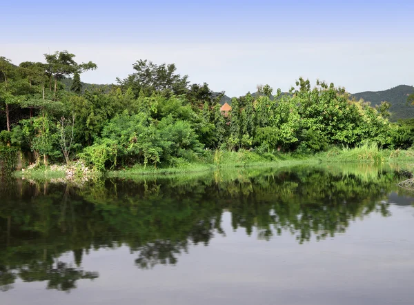 Groen regenwoud reflectie op het meer. — Stockfoto