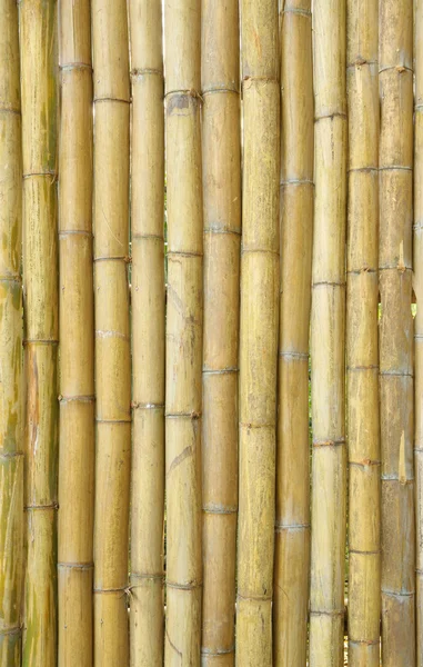 Старая бамбуковая стена местного дома . — стоковое фото