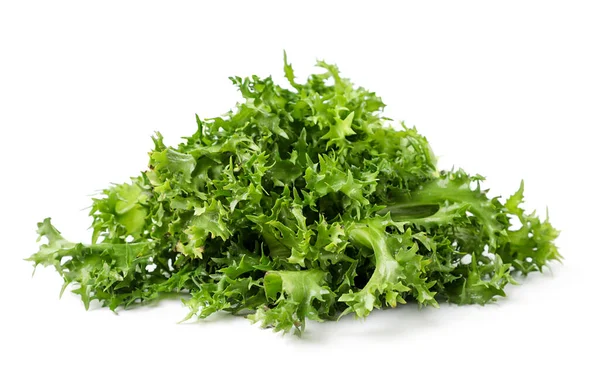 Frize Salad Leaves Close White Background Isolated — Stock Photo, Image