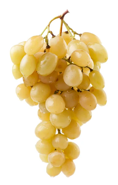 葡萄在白色背景下聚在一起 被隔离了 — 图库照片