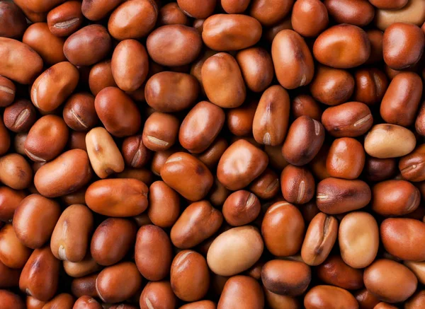 Dried Brown Beans Background Close View Top — Stock Photo, Image