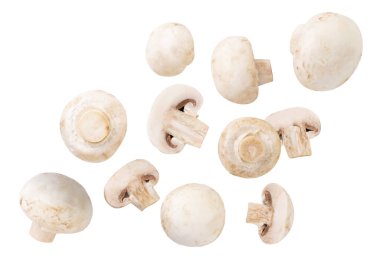 Şampiyon mantarları beyaz arka planda yakın plan çekimde kesiliyor. İzole edilmiş