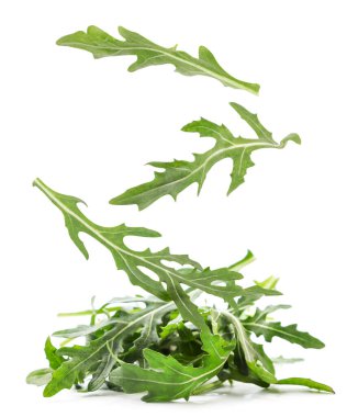Arugula beyaz arka planda yakın plan bir yığının üzerine düşüyor, roka havada uçuşuyor. İzole edilmiş
