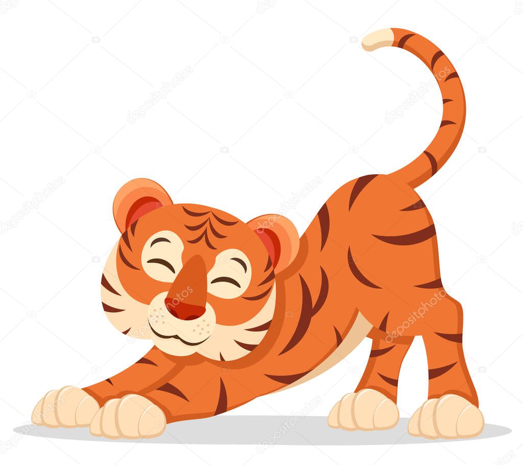 Tiger stretches on a white background. Tiger character