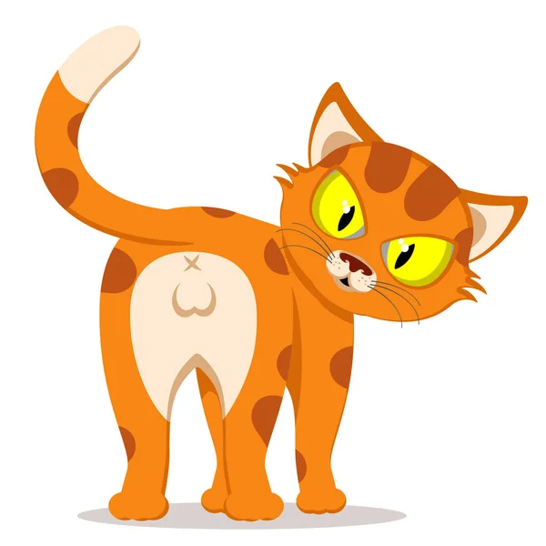 Red Cat Stands Backwards White Background Character — Stock Vector