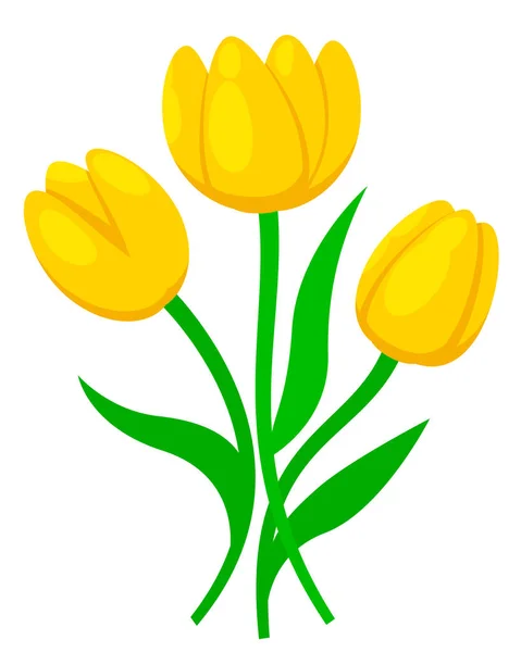 Trois Tulipes Jaunes Gros Plan Sur Fond Blanc Fleurs Printemps — Image vectorielle
