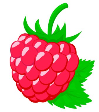 Olgun ahududu ve beyaz arka planda yapraklar. Bir nesne