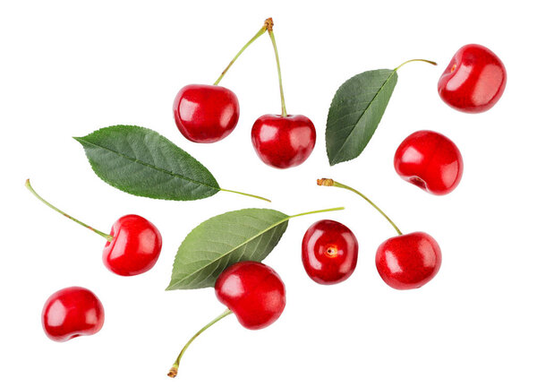 Red cherries with leaves are flying on a white background. Isolated