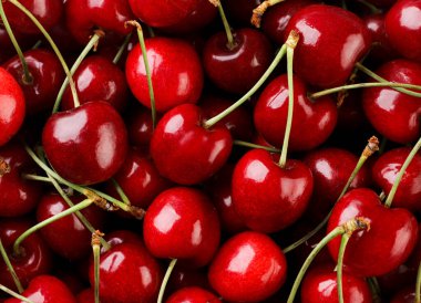 Olgun kırmızı kiraz yakın plan. Üst görünüm