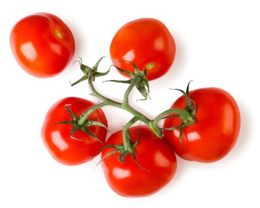 Ripe tomatoes on a branch close-up on a white background. Top view