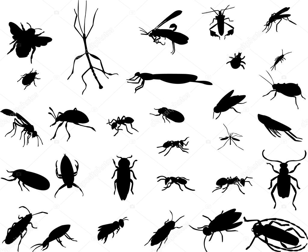 Bugs collection