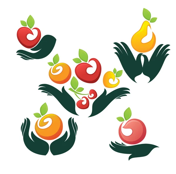 Bright fresh fruits in woman hands — Stock Vector