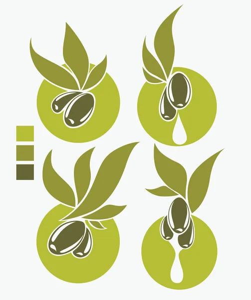 Symboles d'huile d'olive frais et sains — Image vectorielle