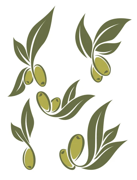 Aceitunas verdes frescas — Vector de stock