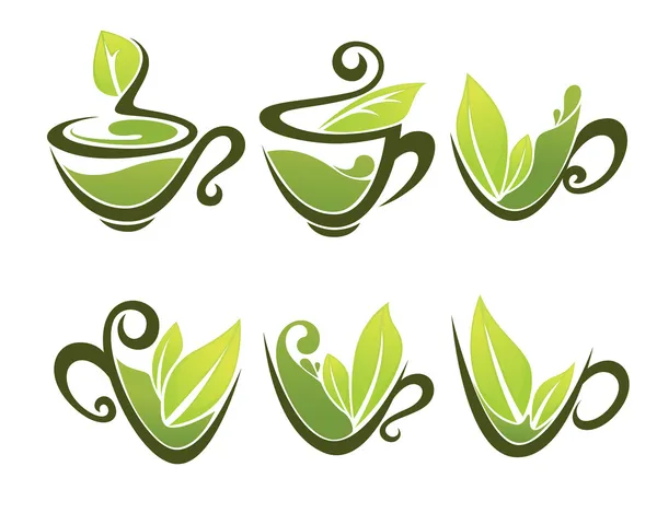 Té verde de hierbas — Vector de stock