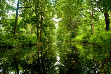 Moskova park su birikintisi