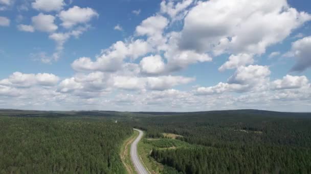 Widok z lotu ptaka na malowniczą drogę między zielonymi drzewami z sosnami w słoneczny letni poranek. Krajobraz przyrodniczy na Syberii, Rosja. Droga przechodząca przez las iglasty, strzał z powietrza z drona. — Wideo stockowe