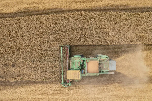 Łączenie zbiorów: widok z lotu ptaka maszyny rolniczej zbierającej dojrzałą pszenicę do ciężarówki. — Zdjęcie stockowe