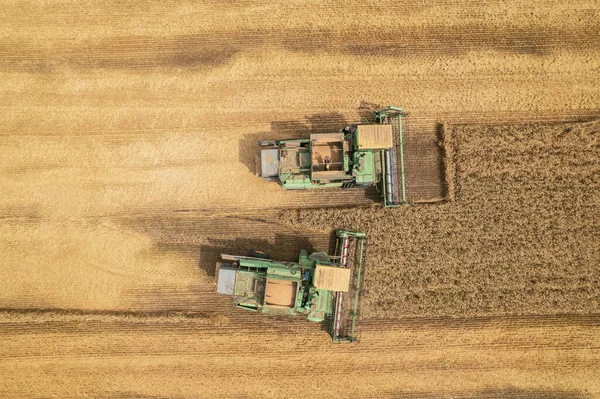 Cosecha combinada: vista aérea de la máquina agrícola recogiendo trigo maduro dorado en camión. — Foto de Stock